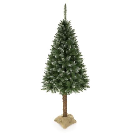 Weihnachtsbaum auf Stamm 180 cm Fichte