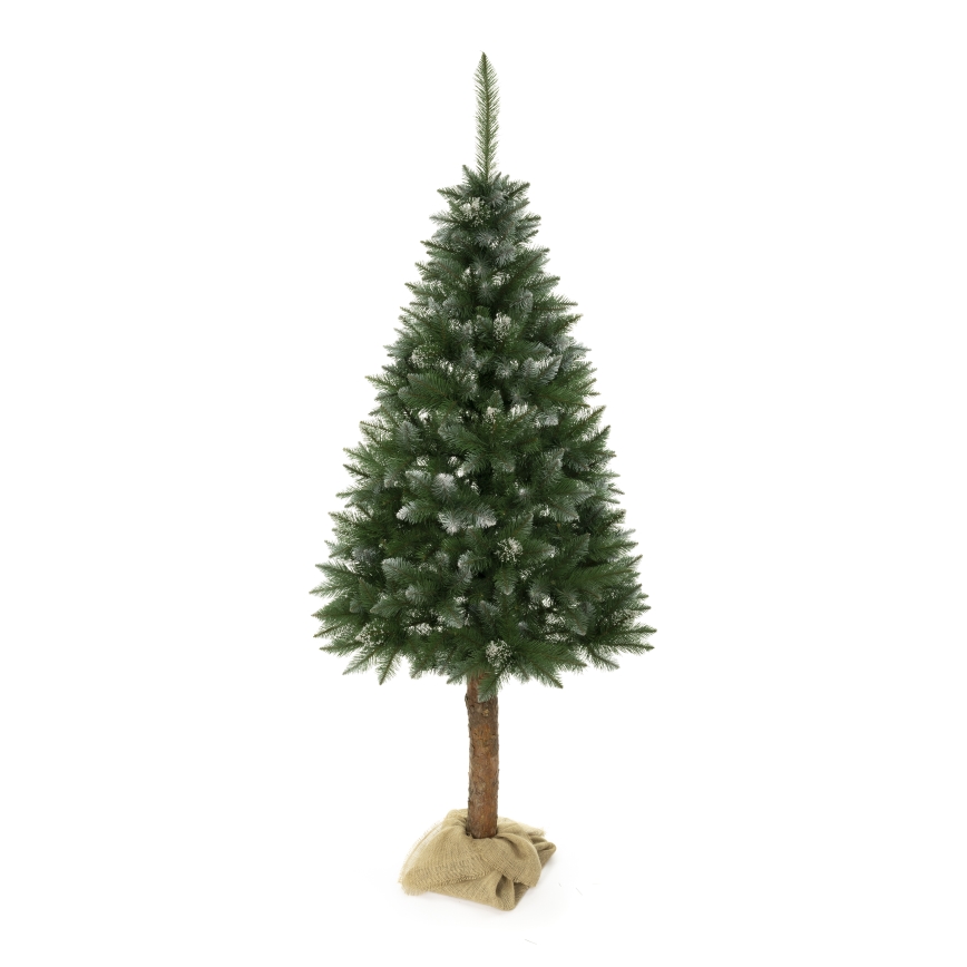 Weihnachtsbaum auf Stamm 180 cm Fichte