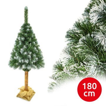 Weihnachtsbaum auf Stamm 180 cm Kiefer