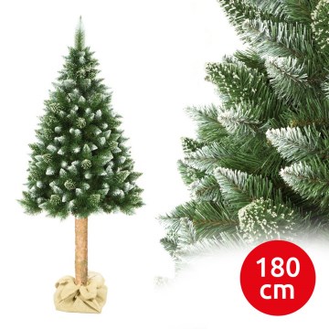 Weihnachtsbaum auf Stamm 180 cm Kiefer