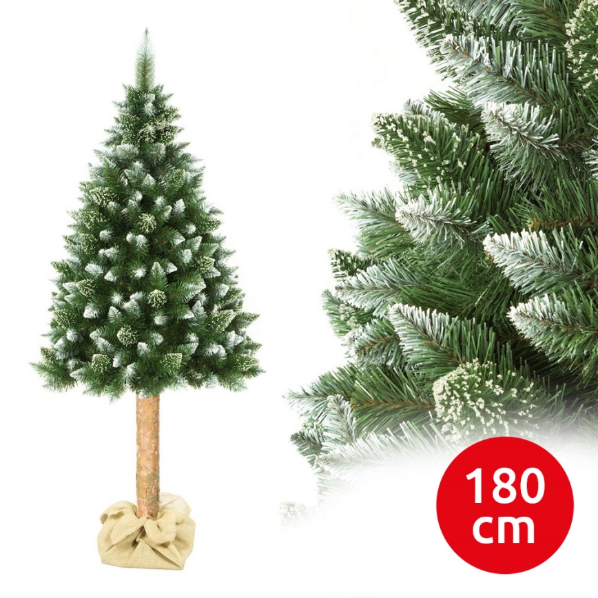 Weihnachtsbaum auf Stamm 180 cm Kiefer