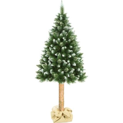 Weihnachtsbaum auf Stamm 180 cm Kiefer