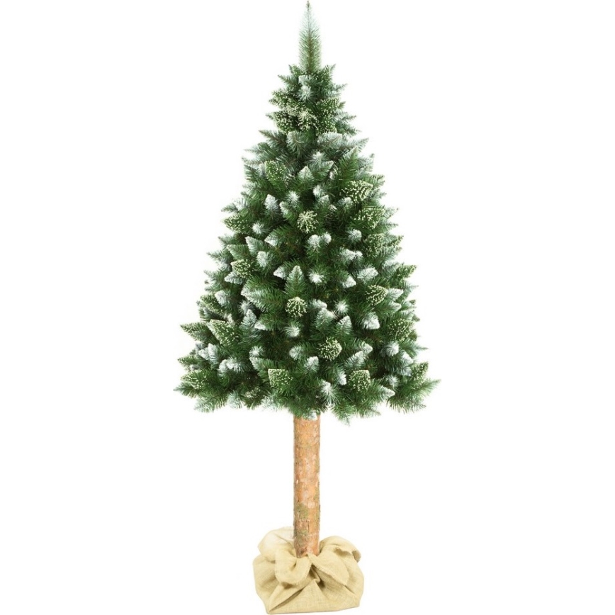 Weihnachtsbaum auf Stamm 180 cm Kiefer
