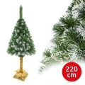 Weihnachtsbaum auf Stamm 220 cm Kiefer