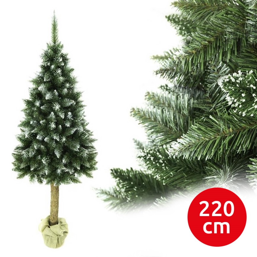 Weihnachtsbaum auf Stamm 220 cm Tanne