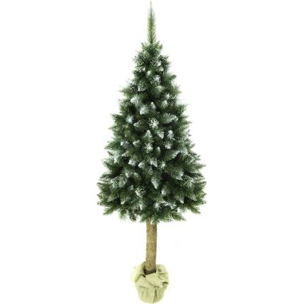Weihnachtsbaum auf Stamm 220 cm Tanne