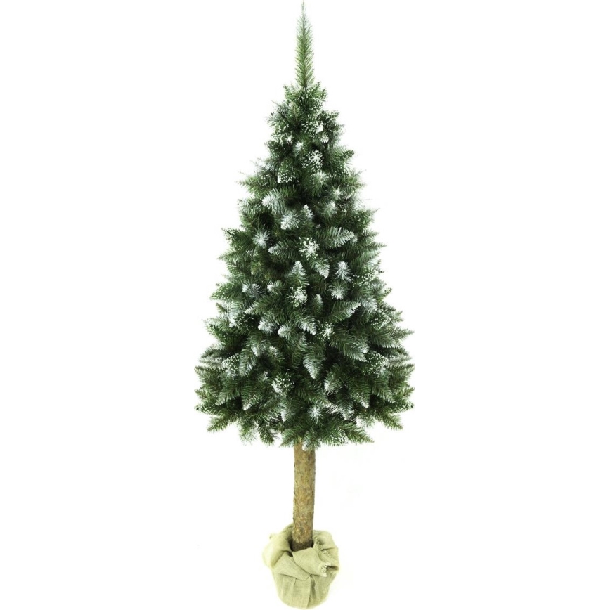 Weihnachtsbaum auf Stamm 220 cm Tanne