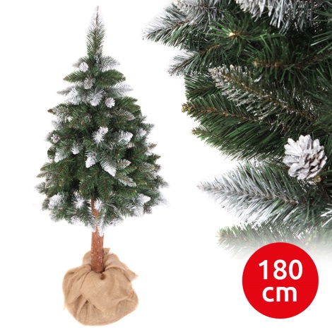 Weihnachtsbaum PIN 180 cm Kiefer