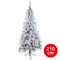 Weihnachtsbaum SCOTLAND 210 cm, Tanne