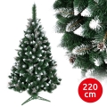 Weihnachtsbaum TAL 220 cm Kiefer