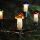 Weihnachtskette 7,7 m TOADSTOOL 12xE10/230V, hergestellt in Europa