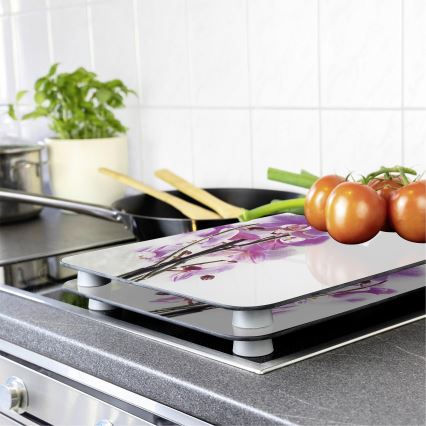 WENKO 2521433500 - Abdeckplatte - Blume/Pflanze 30 x 52 cm, mehrfarbig