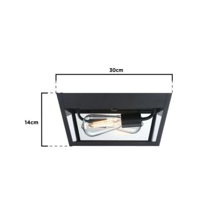 Westinghouse 61219 - Outdoor-Deckenleuchte PETERSON 2xE27/40W/230V IP44