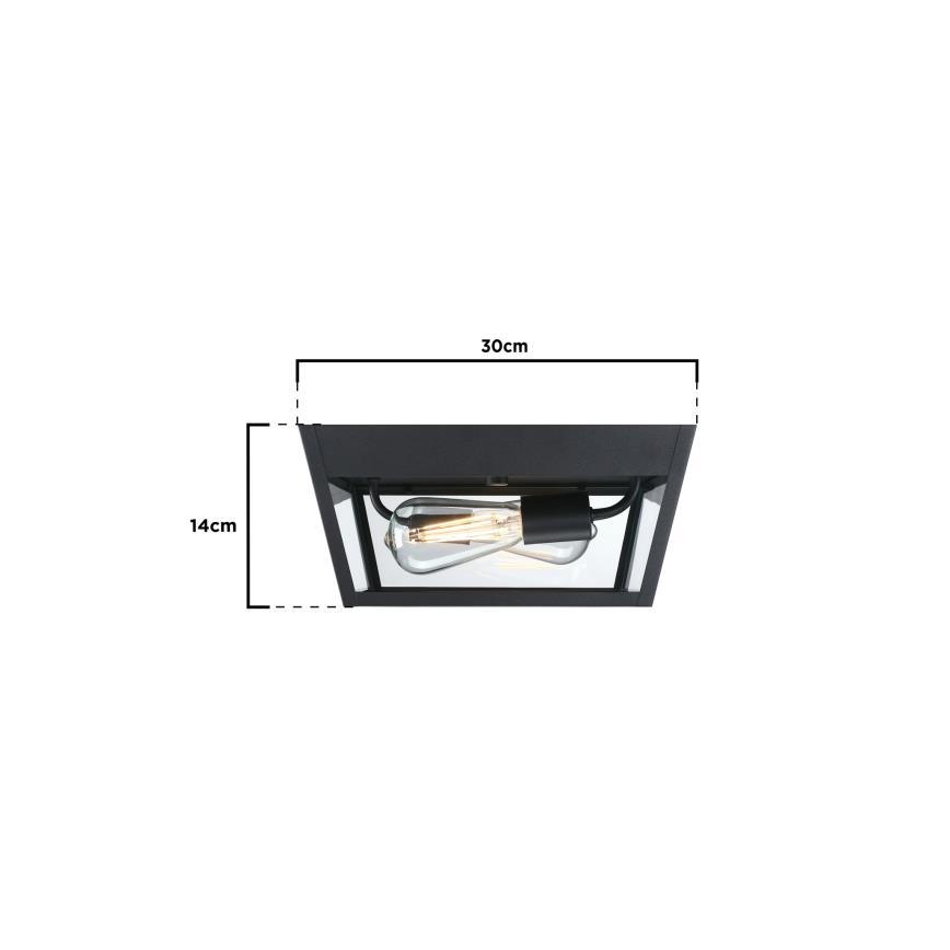 Westinghouse 61219 - Outdoor-Deckenleuchte PETERSON 2xE27/40W/230V IP44