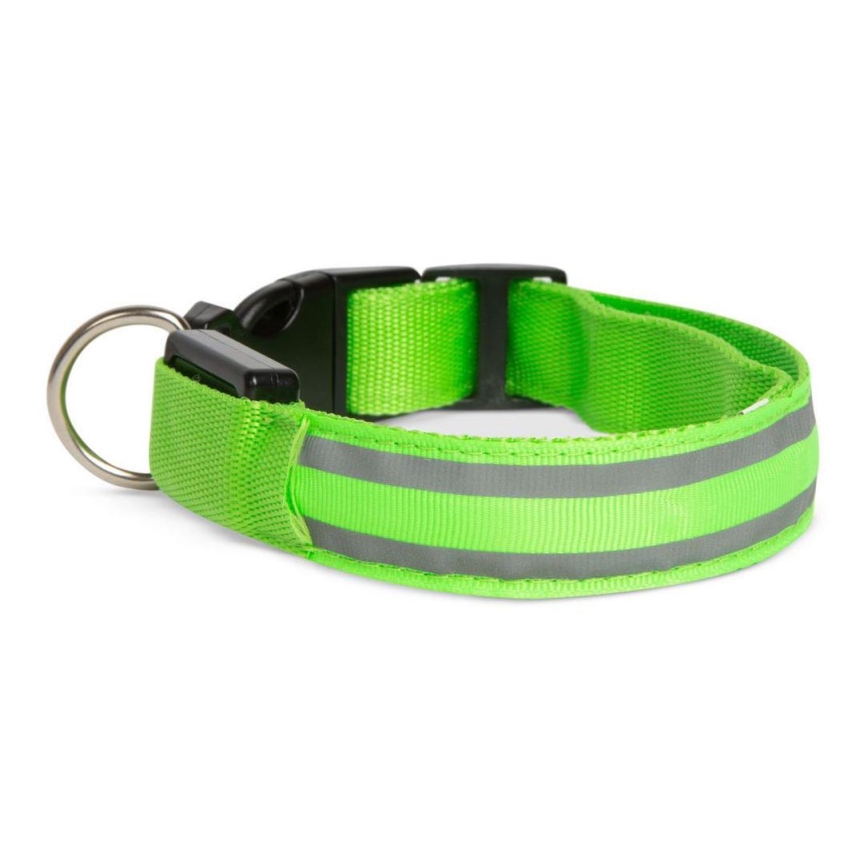 Wiederaufladbares LED-Hundehalsband 35-43 cm 1xCR2032/5V/40 mAh grün