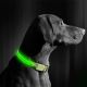 Wiederaufladbares LED-Hundehalsband 35-43 cm 1xCR2032/5V/40 mAh grün