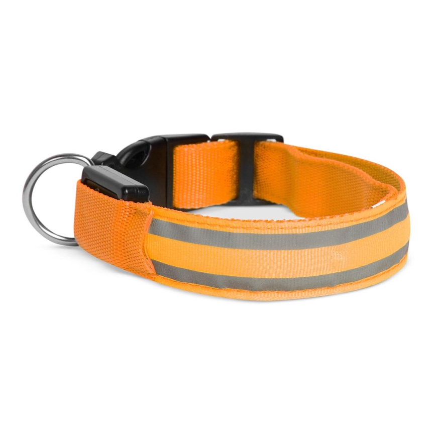 Wiederaufladbares LED-Hundehalsband 35-43 cm 1xCR2032/5V/40 mAh orange