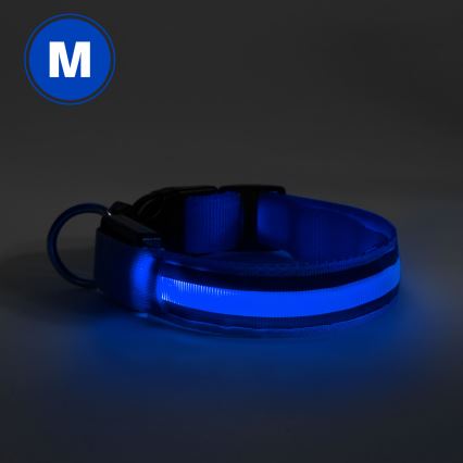 Wiederaufladbares LED-Hundehalsband 40-48 cm 1xCR2032/5V/40 mAh blau