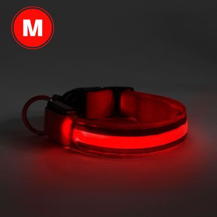 Wiederaufladbares LED-Hundehalsband 40-48 cm 1xCR2032/5V/40 mAh rot