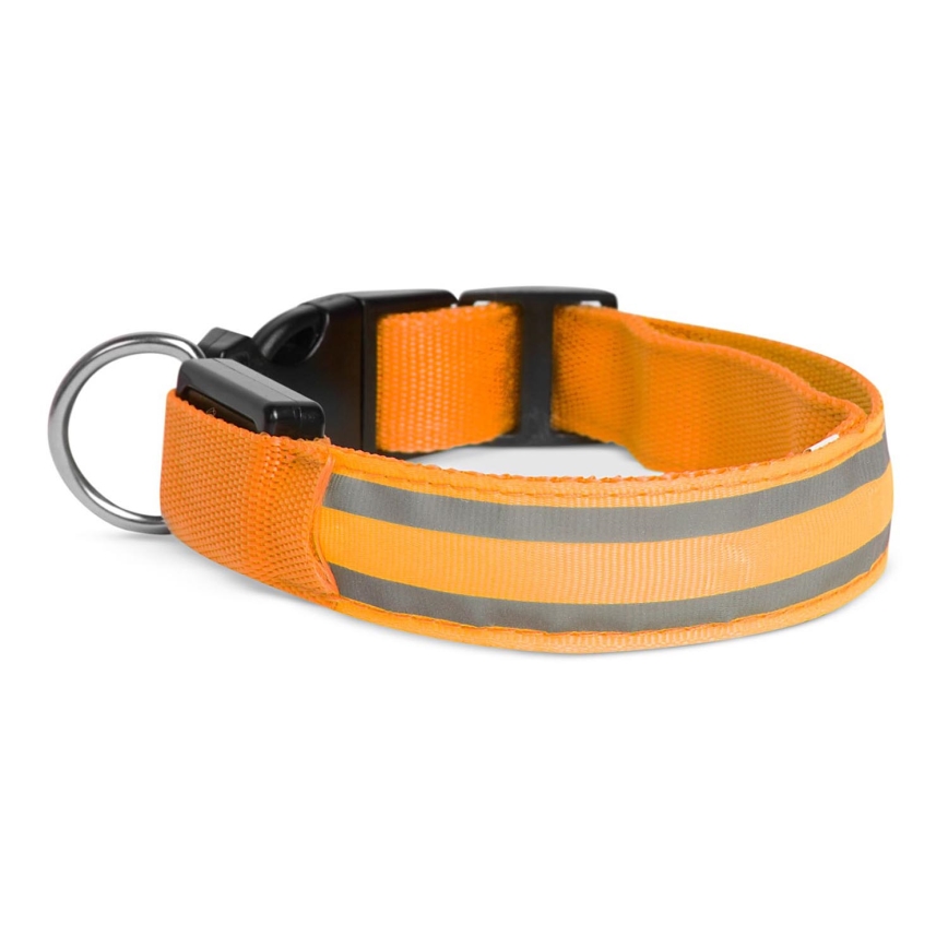 Wiederaufladbares LED-Hundehalsband 45-52 cm 1xCR2032/5V/40 mAh orange