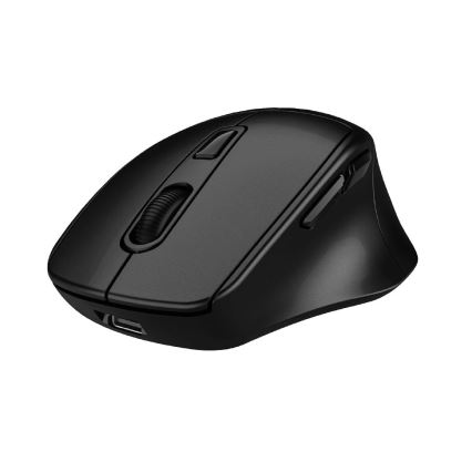 Winner Group - Kabellose Maus SEA MOUSE, 500 mAh, schwarz