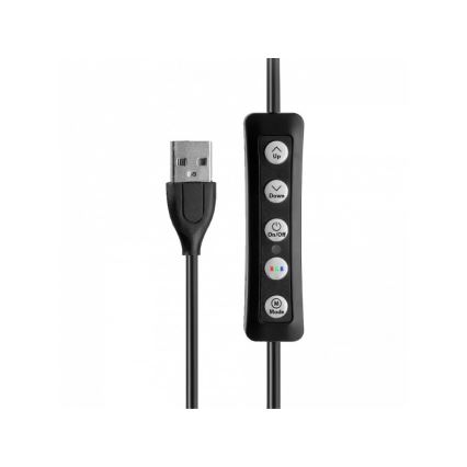 Winner Group - dimmbare RGB-LED-Stehlampe mit Stativ und Halterung für Vlogger LED/10W/5V