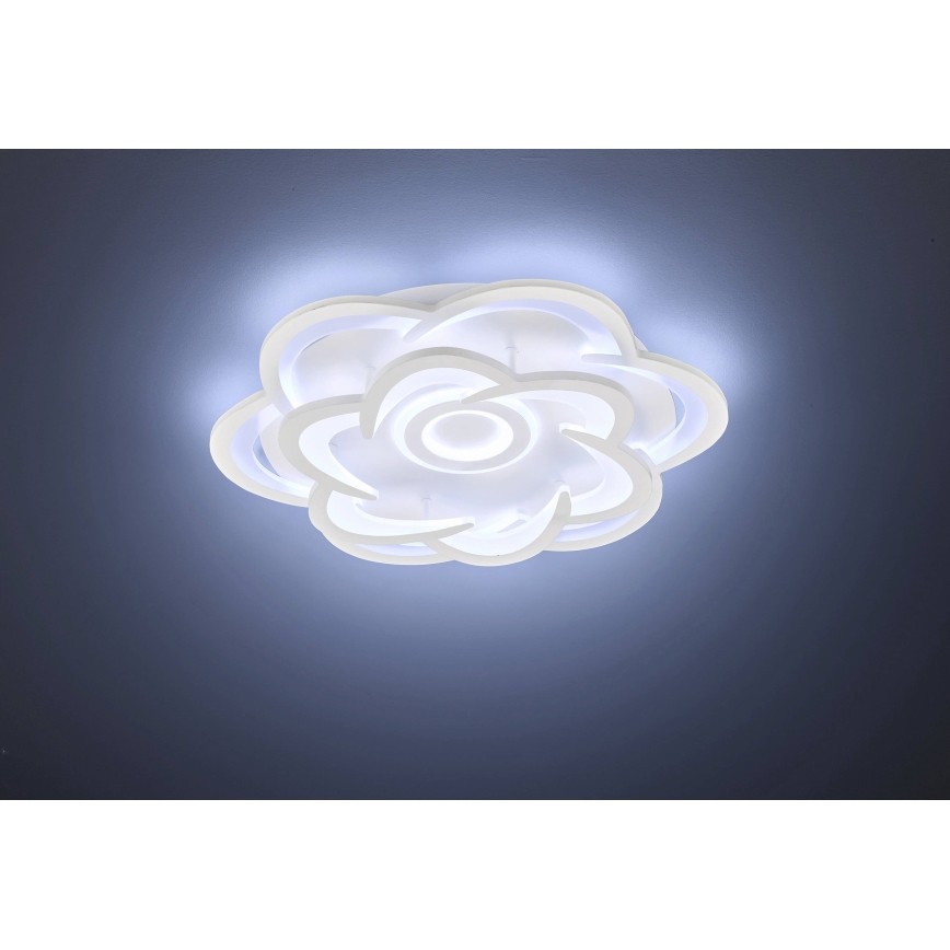 Wofi 11209 - Dimmbare LED-Deckenleuchte ICA LED/47W/230V 2700-5500K + Fernbedienung