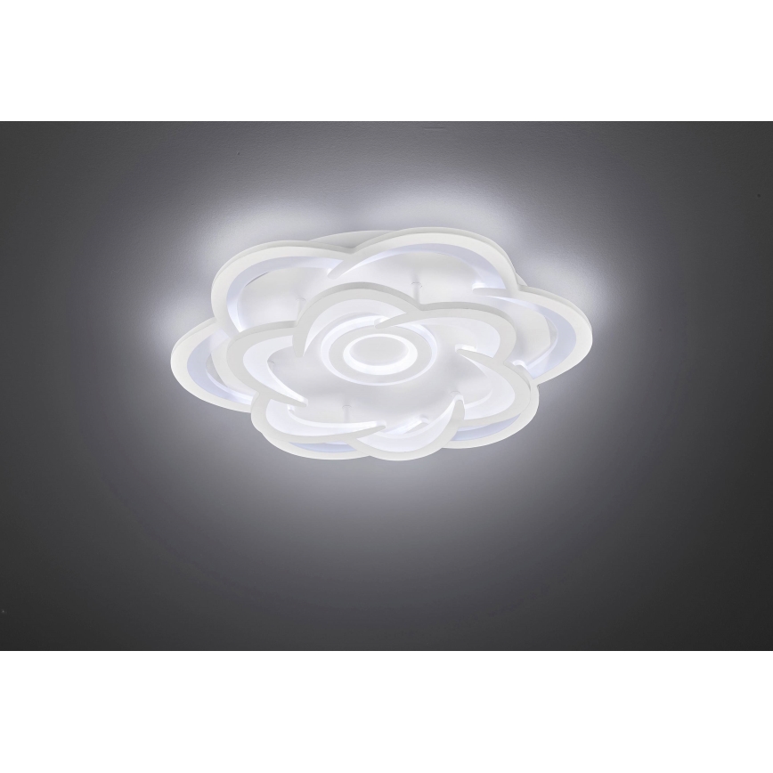 Wofi 11209 - Dimmbare LED-Deckenleuchte ICA LED/47W/230V 2700-5500K + Fernbedienung