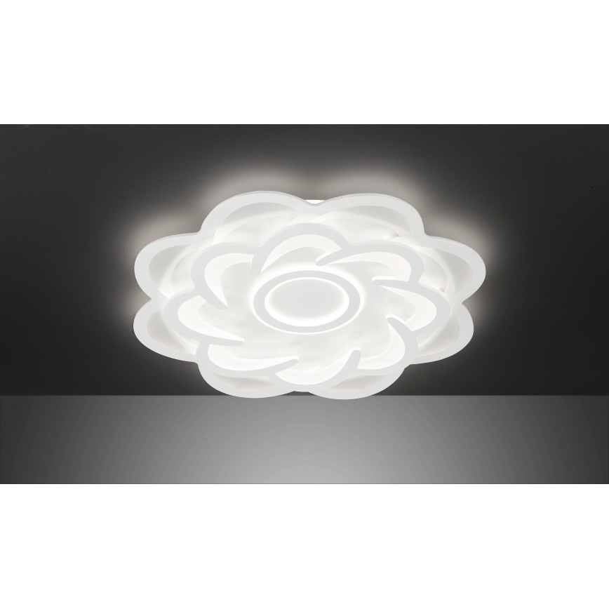 Wofi 11213 - Dimmbare LED-Deckenleuchte ICA LED/52W/230V 2700-5500K + Fernbedienung