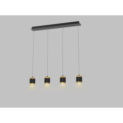 Wofi 7003-404 - dimmbare LED-Pendelleuchte an Kabel TOULOUSE 4xLED/8,5W/230V schwarz/gold