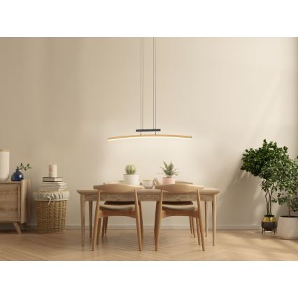 Wofi 7020-106 - LED dimmbare Hängeleuchte an Seil BOLOGNA LED/27W/230V