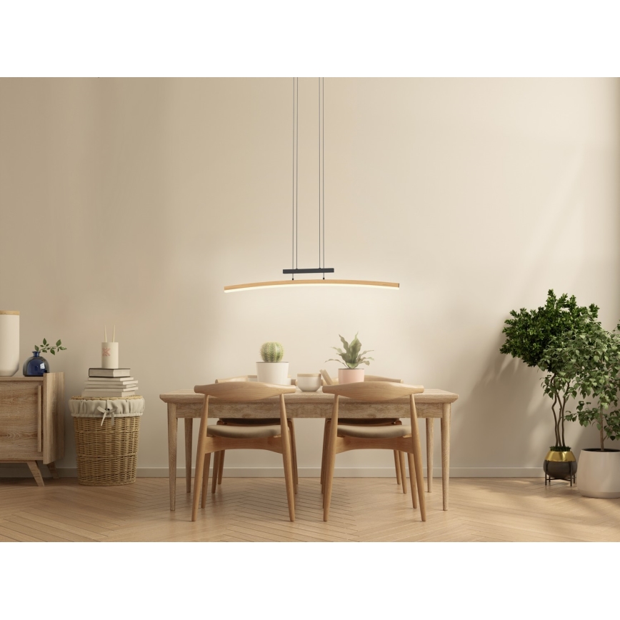 Wofi 7020-106 - LED dimmbare Hängeleuchte an Seil BOLOGNA LED/27W/230V