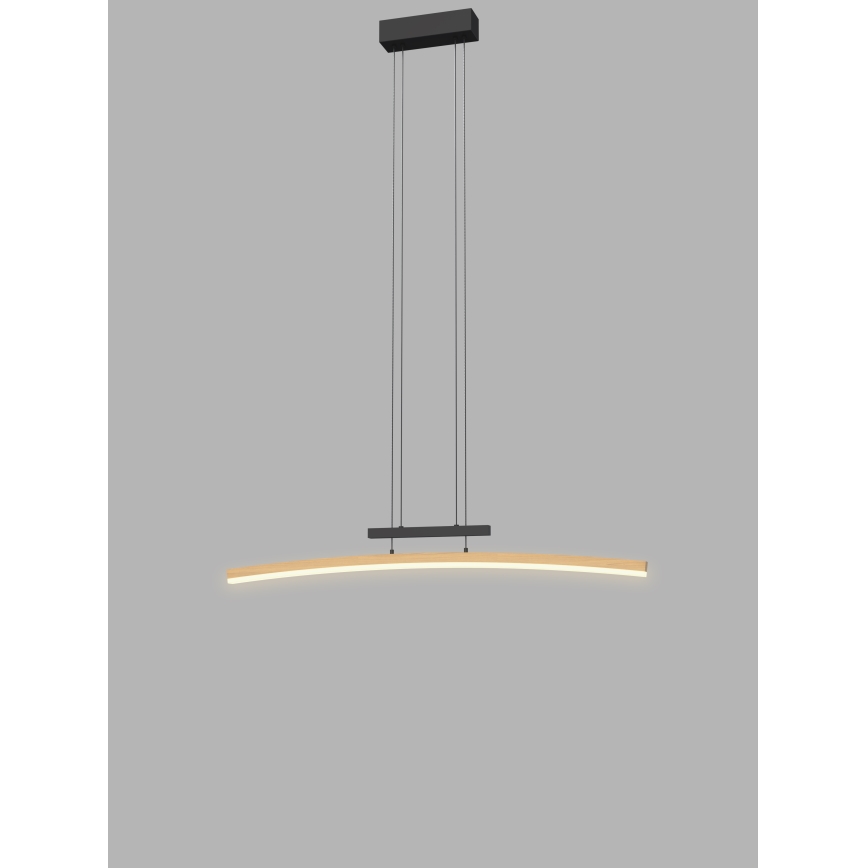 Wofi 7020-106 - LED dimmbare Hängeleuchte an Seil BOLOGNA LED/27W/230V