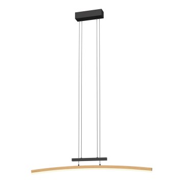 Wofi 7020-106 - LED dimmbare Hängeleuchte an Seil BOLOGNA LED/27W/230V
