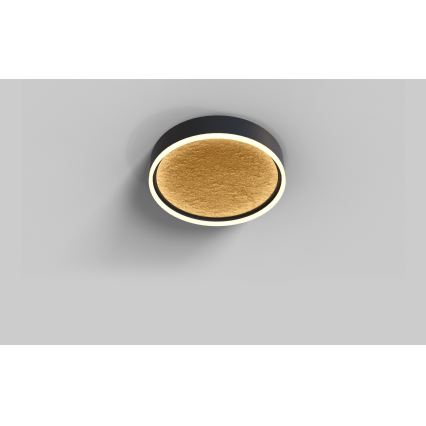 Wofi 9002-104M - LED dimmbare Deckenleuchte BORDEAUX LED/37W/230V schwarz/gold