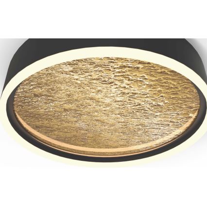 Wofi 9002-104M - LED dimmbare Deckenleuchte BORDEAUX LED/37W/230V schwarz/gold