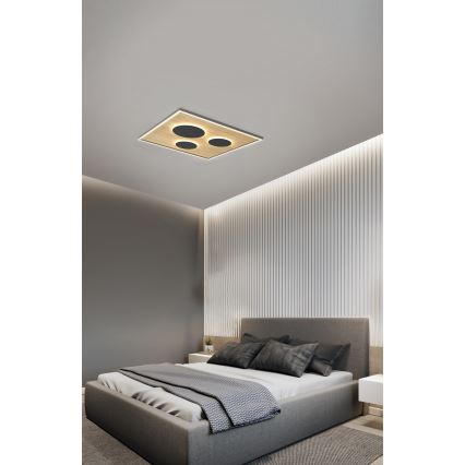 Wofi 9012-306L - Dimmbare LED-Deckenleuchte DIJON LED/40W/230V