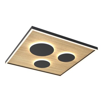 Wofi 9012-306L - LED dimmbare Deckenleuchte DIJON LED/40W/230V