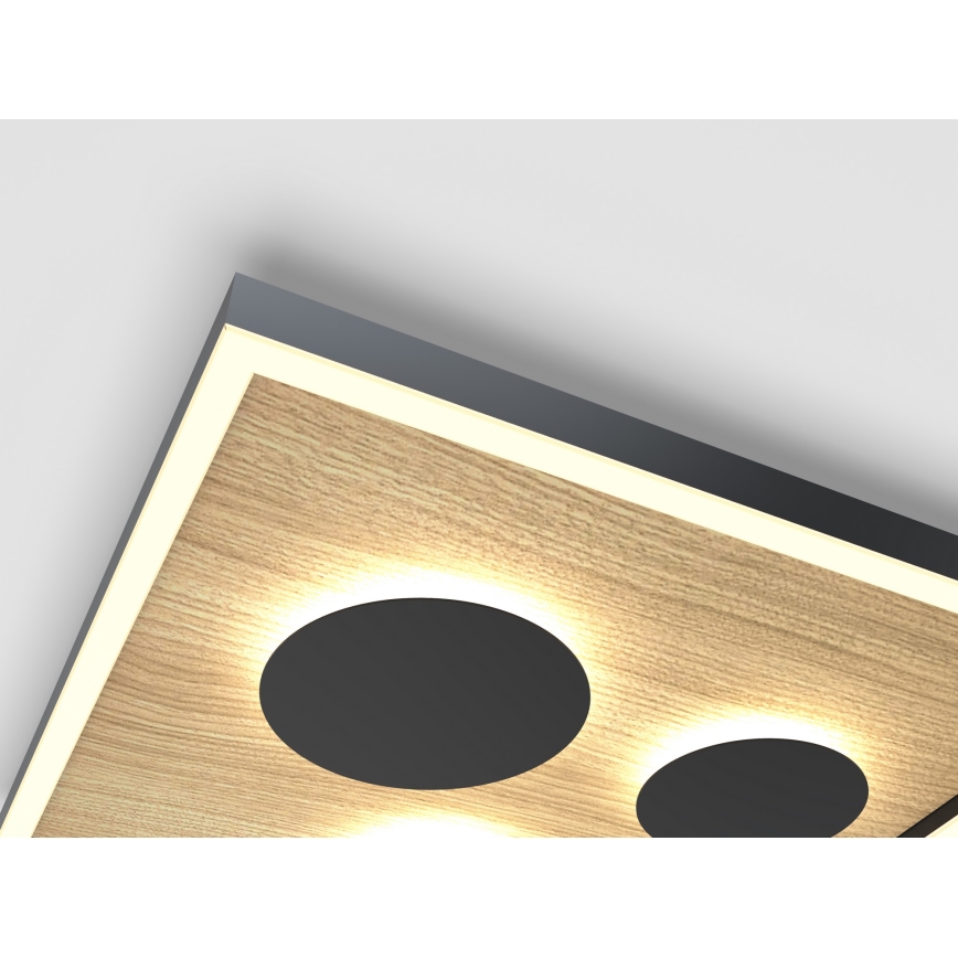 Wofi 9012-306L - LED dimmbare Deckenleuchte DIJON LED/40W/230V