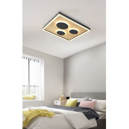 Wofi 9012-306S - LED dimmbare Deckenleuchte DIJON LED/26W/230V