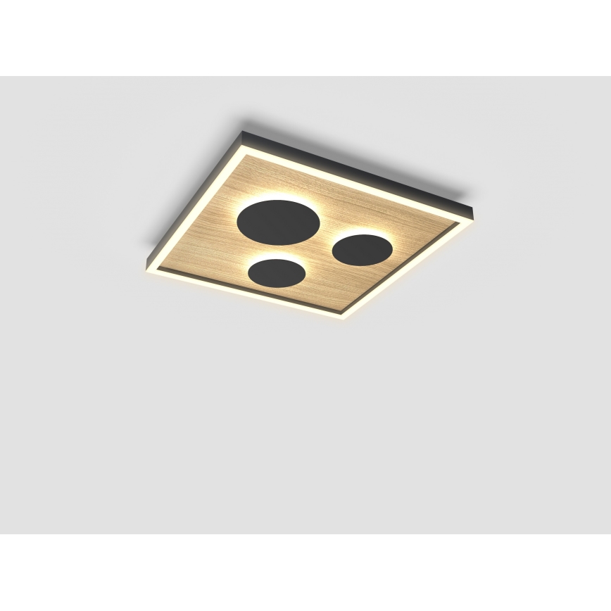 Wofi 9012-306S - LED dimmbare Deckenleuchte DIJON LED/26W/230V
