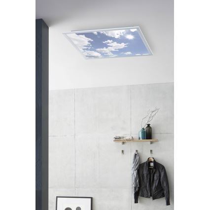 Wofi 9693.01.70.6600 - Dimmbare LED-Deckenleuchte LIV LED/36W/230V 2800-5500K + Fernbedienung