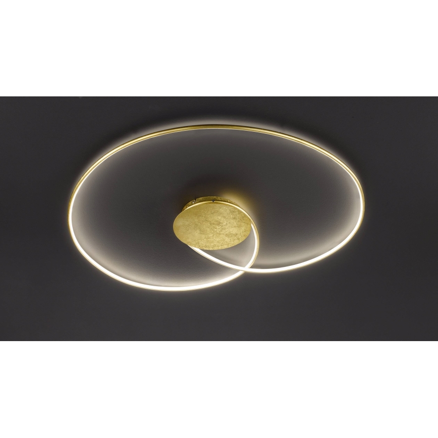 Wofi - LED-Deckenleuchte OPUS LED/32W/230V