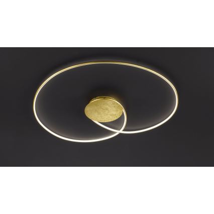 Wofi - LED-Deckenleuchte OPUS LED/32W/230V