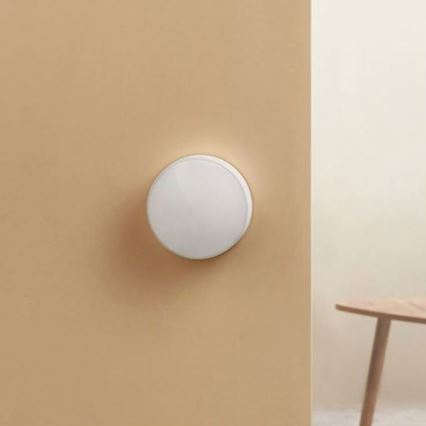 Xiaomi - Lichterkennungssensor MI CR2450 ZigBee