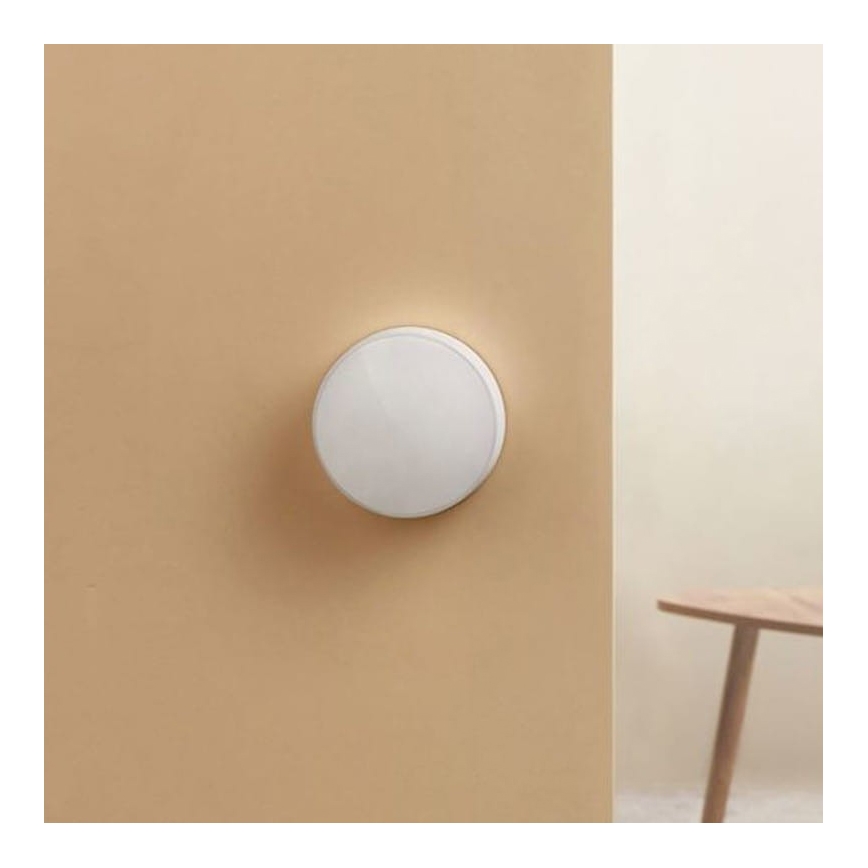 Xiaomi - Lichterkennungssensor MI CR2450 ZigBee