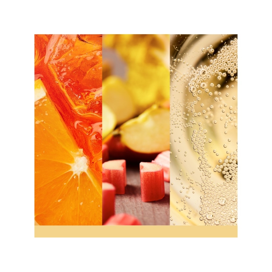 Yankee Candle - Duftkerze SLOPESIDE SPRITZ groß 567 g 60-90 Std.