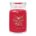 Yankee Candle - Duftkerze SPARKLING CINNAMON groß 567g 60-90 Std.