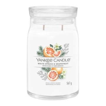 Yankee Candle - Duftkerze WHITE SPRUCE & GRAPEFRUIT groß 567g 60-90 Std.