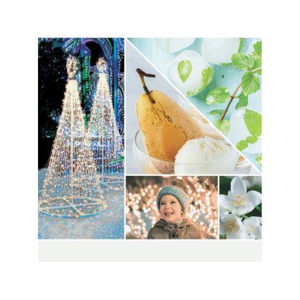 Yankee Candle - Große Duftkerze MAGICAL BRIGHT LIGHTS, 567 g, 60-90 Stunden